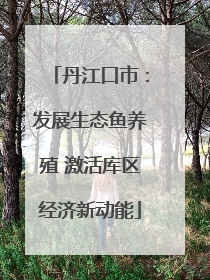 丹江口市：发展生态鱼养殖 激活库区经济新动能