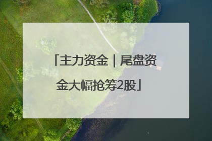 主力资金｜尾盘资金大幅抢筹2股