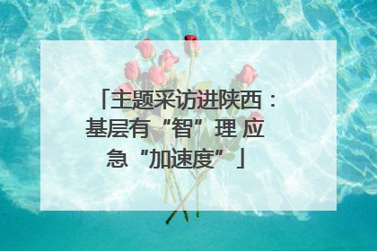 主题采访进陕西：基层有“智”理 应急“加速度”