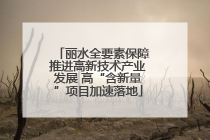 丽水全要素保障推进高新技术产业发展 高“含新量”项目加速落地