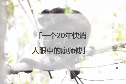 一个20年快消人眼中的康师傅