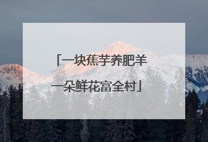 一块蕉芋养肥羊 一朵鲜花富全村