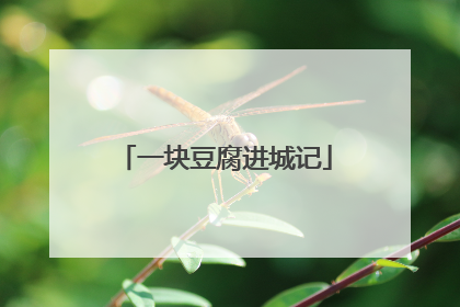 一块豆腐进城记