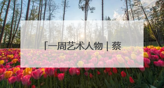 一周艺术人物｜蔡赟骅涂装火箭，赵正科展书影艺术