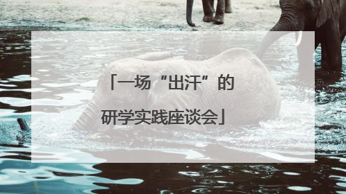 一场“出汗”的研学实践座谈会