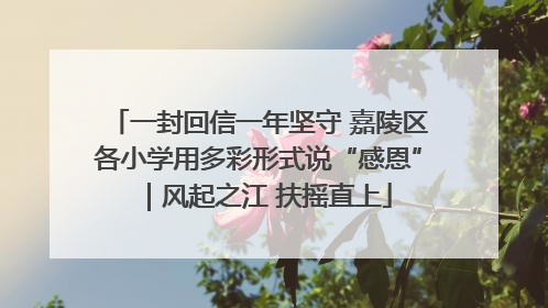 一封回信一年坚守 嘉陵区各小学用多彩形式说“感恩”｜风起之江 扶摇直上