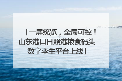 一屏统览，全局可控！山东港口日照港粮食码头数字孪生平台上线