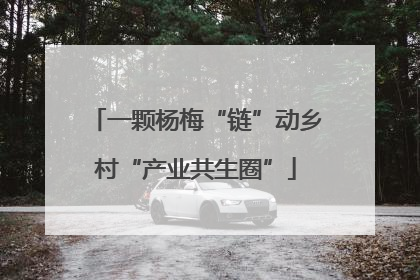一颗杨梅“链”动乡村“产业共生圈”