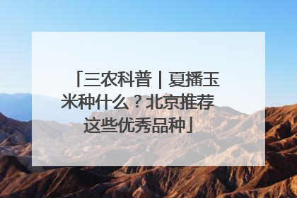 三农科普｜夏播玉米种什么？北京推荐这些优秀品种