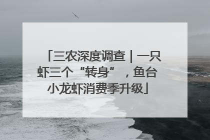 三农深度调查｜一只虾三个“转身”，鱼台小龙虾消费季升级