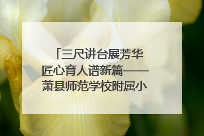 三尺讲台展芳华 匠心育人谱新篇——萧县师范学校附属小学第十三届班主任基本功大赛圆满举办
