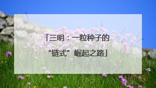 三明：一粒种子的“链式”崛起之路