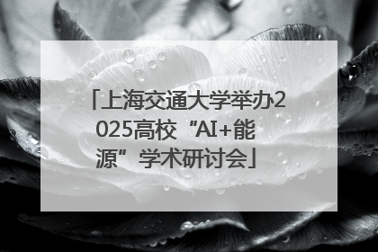 上海交通大学举办2025高校“AI+能源”学术研讨会