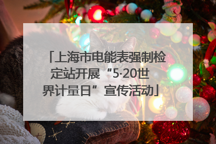 上海市电能表强制检定站开展“5·20世界计量日”宣传活动