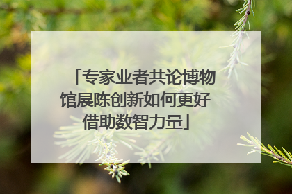 专家业者共论博物馆展陈创新如何更好借助数智力量