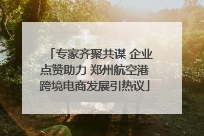专家齐聚共谋 企业点赞助力 郑州航空港跨境电商发展引热议