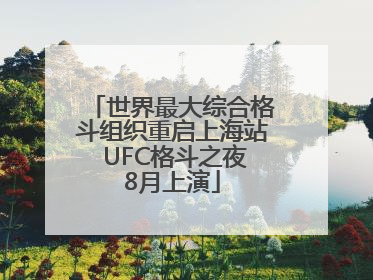 世界最大综合格斗组织重启上海站 UFC格斗之夜8月上演