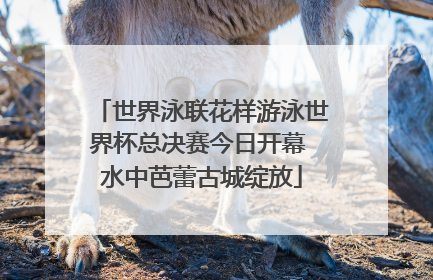 世界泳联花样游泳世界杯总决赛今日开幕 水中芭蕾古城绽放