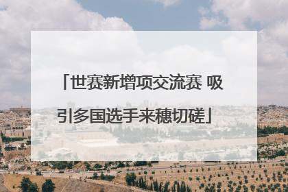 世赛新增项交流赛 吸引多国选手来穗切磋