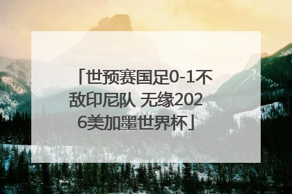 世预赛国足0-1不敌印尼队 无缘2026美加墨世界杯