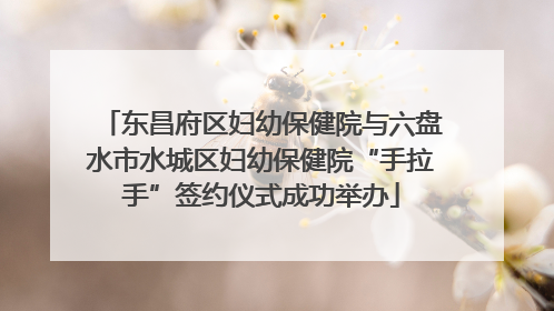 东昌府区妇幼保健院与六盘水市水城区妇幼保健院“手拉手”签约仪式成功举办
