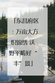 东昌府区：万亩大方织锦绣 沃野平畴好“丰”景