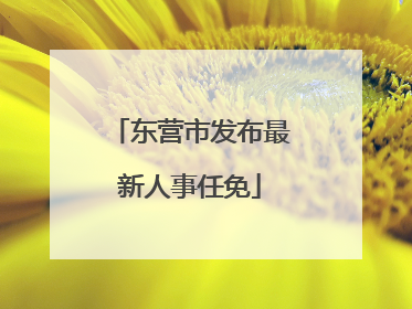 东营市发布最新人事任免