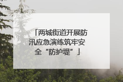 两城街道开展防汛应急演练筑牢安全“防护堤”