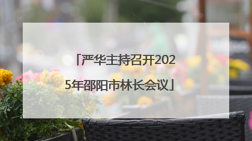 严华主持召开2025年邵阳市林长会议