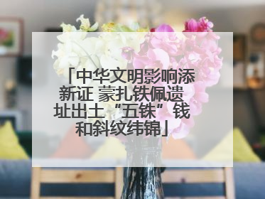 中华文明影响添新证 蒙扎铁佩遗址出土“五铢”钱和斜纹纬锦
