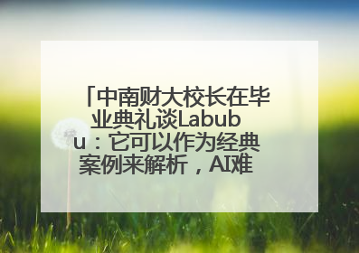 中南财大校长在毕业典礼谈Labubu：它可以作为经典案例来解析，AI难以给出答案