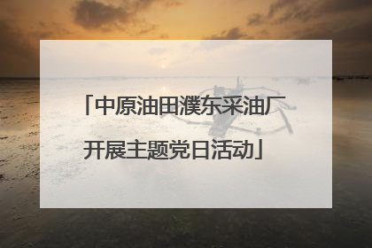 中原油田濮东采油厂开展主题党日活动