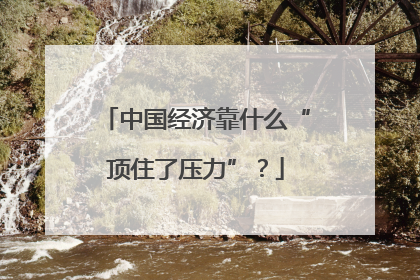中国经济靠什么“顶住了压力”？