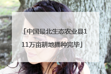 中国最北生态农业县111万亩耕地播种完毕