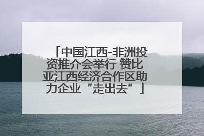 中国江西-非洲投资推介会举行 赞比亚江西经济合作区助力企业“走出去”