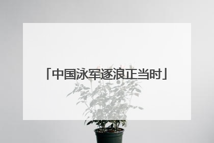 中国泳军逐浪正当时