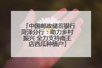 中国邮政储蓄银行菏泽分行：助力乡村振兴 全力支持南王店西瓜种植户