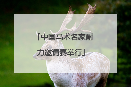 中国马术名家耐力邀请赛举行