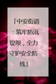 中安街道：筑牢防汛堤坝，全力守护安全防线