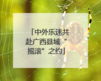 中外乐迷共赴广西县域“摇滚”之约