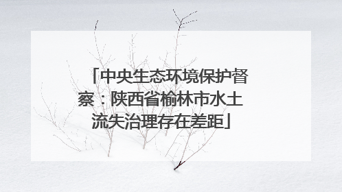 中央生态环境保护督察：陕西省榆林市水土流失治理存在差距