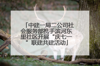 中建一局二公司社会服务部携手滨河东里社区开展“庆七一”联建共建活动