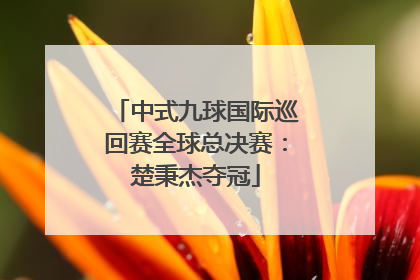 中式九球国际巡回赛全球总决赛：楚秉杰夺冠
