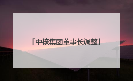 中核集团董事长调整