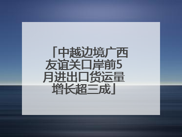 中越边境广西友谊关口岸前5月进出口货运量增长超三成