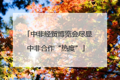 中非经贸博览会尽显中非合作“热度”