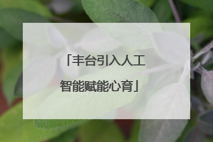 丰台引入人工智能赋能心育