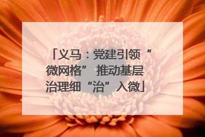 义马：党建引领“微网格” 推动基层治理细“治”入微