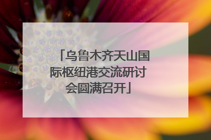乌鲁木齐天山国际枢纽港交流研讨会圆满召开