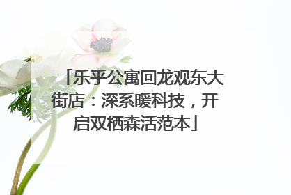 乐乎公寓回龙观东大街店：深系暖科技，开启双栖森活范本